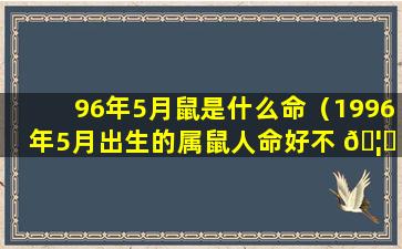 96年5月鼠是什么命（1996年5月出生的属鼠人命好不 🦅 好2019年运势怎样）